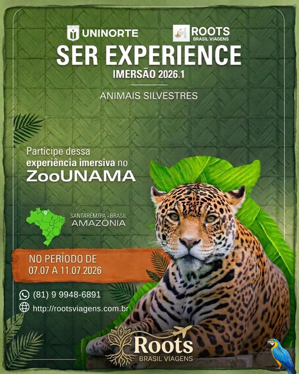 Imersão Zoounama (Valores pelo Whatsapp)